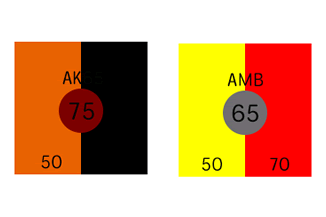 続きを読む: akb amb new